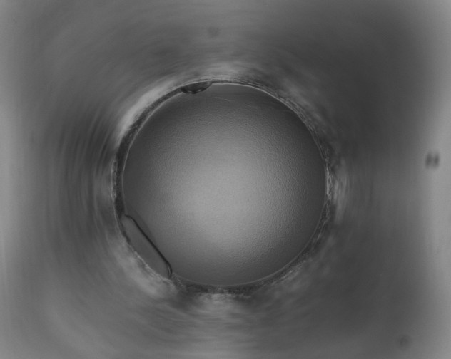 X0000110990244200906191434