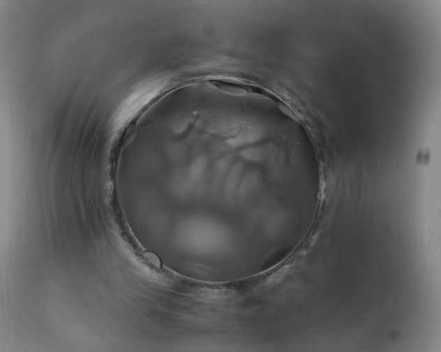 X0000110990245200906191434