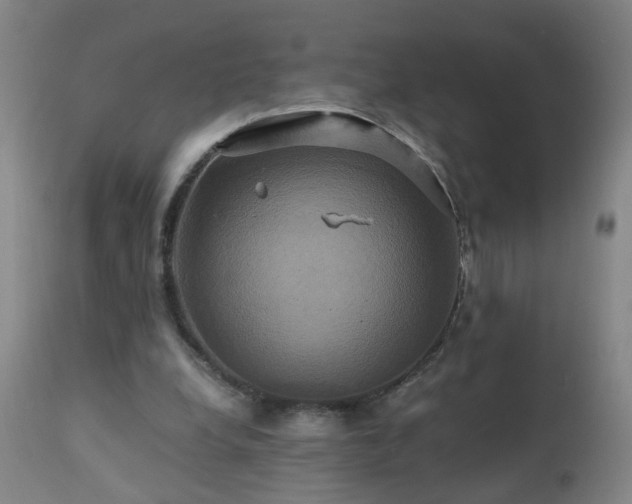 X0000110990248200906191434
