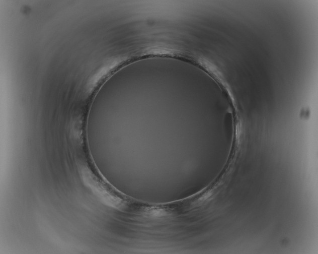 X0000110990249200906191434