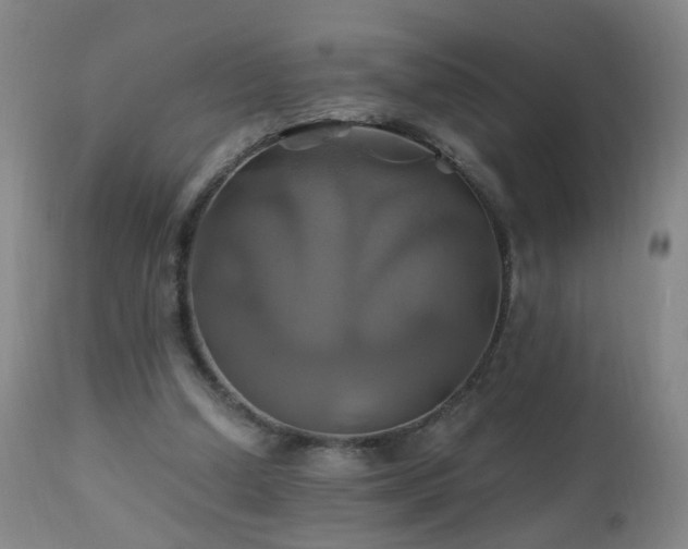 X0000110990250200906191434