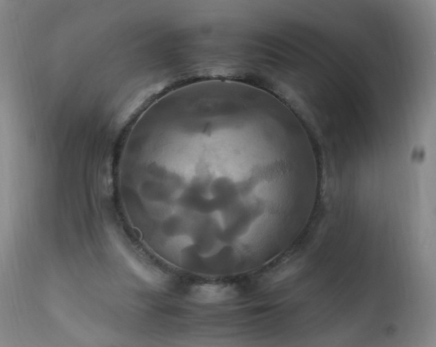 X0000110990251200906191434