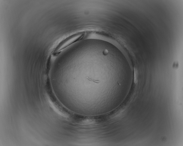 X0000110990252200906191434