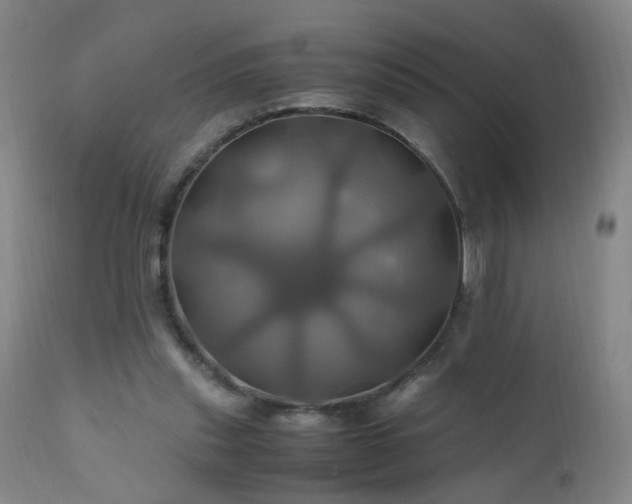 X0000110990253200906191434