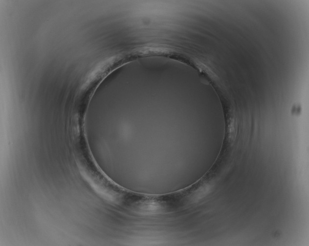 X0000110990254200906191434