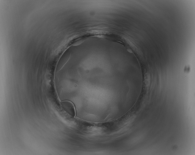 X0000110990255200906191434