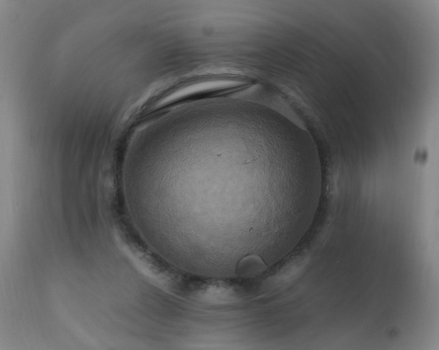 X0000110990256200906191434