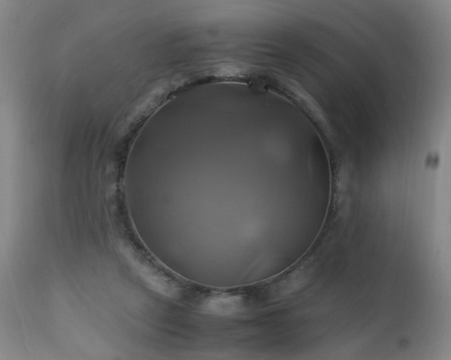 X0000110990257200906191434