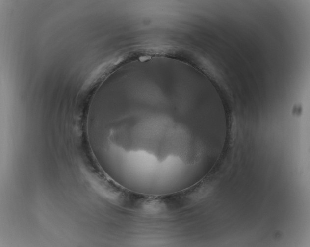 X0000110990258200906191434