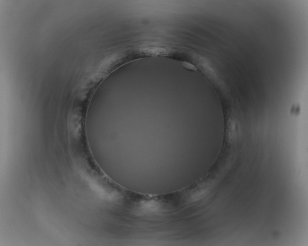X0000110990259200906191434