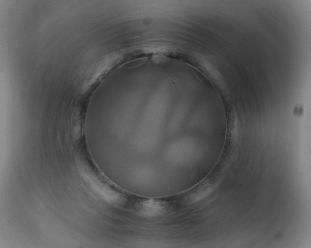 X0000110990261200906191434