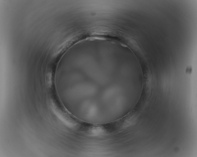 X0000110990262200906191434