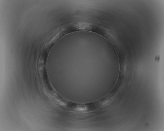 X0000110990263200906191434
