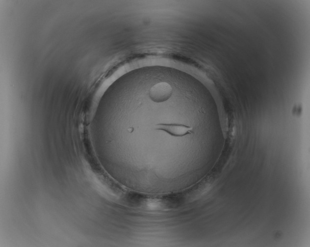 X0000110990264200906191434