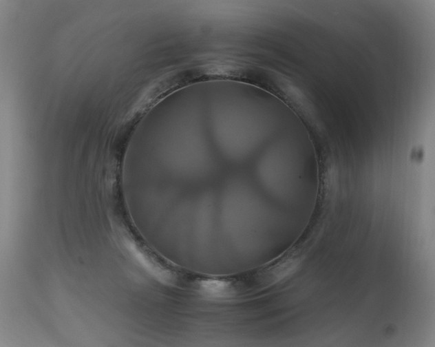 X0000110990265200906191434