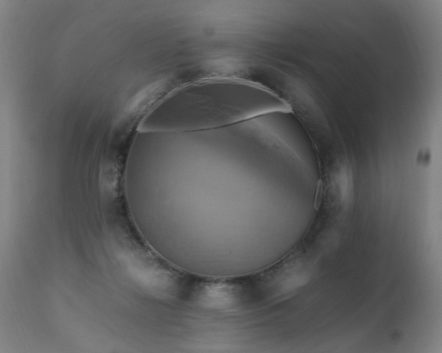 X0000110990268200906191434