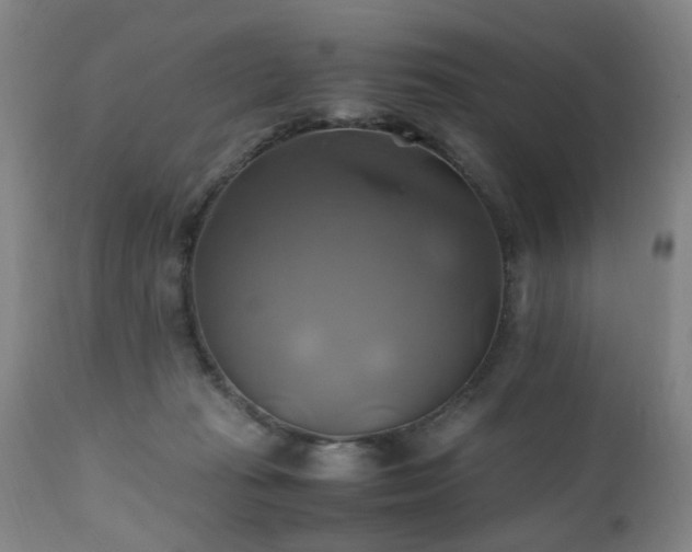 X0000110990269200906191434