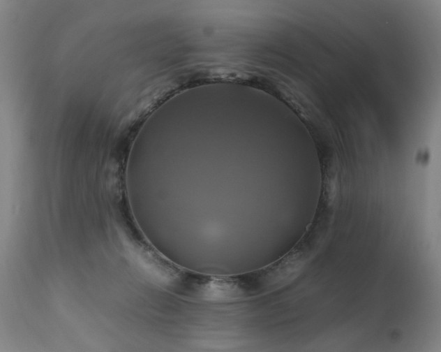 X0000110990270200906191434
