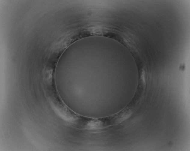 X0000110990271200906191434