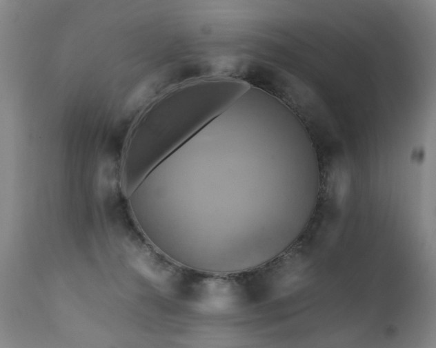 X0000110990272200906191434