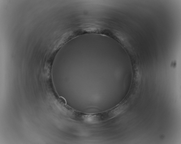 X0000110990273200906191434