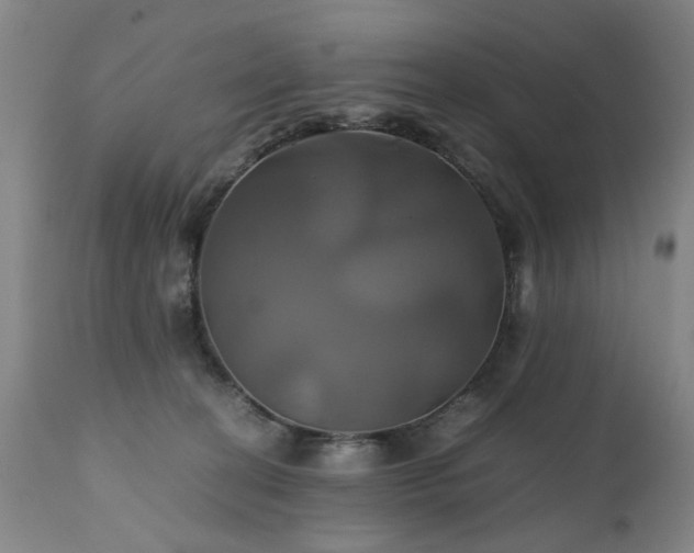 X0000110990274200906191434
