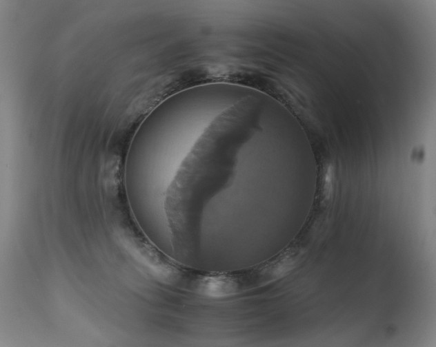X0000110990275200906191434