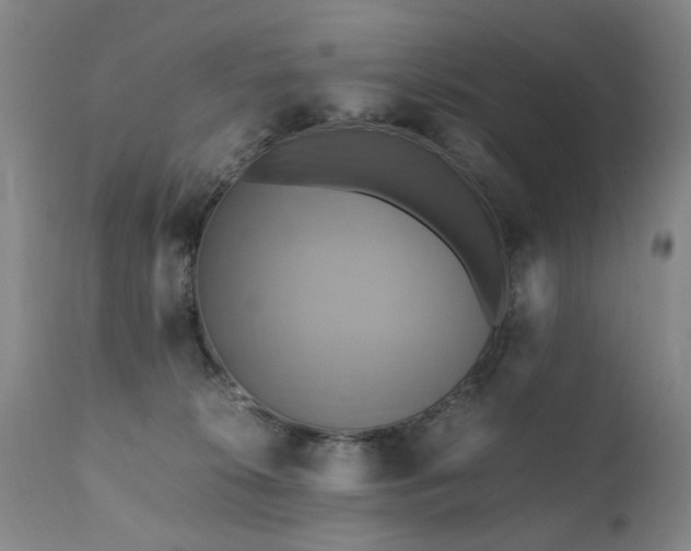 X0000110990276200906191434