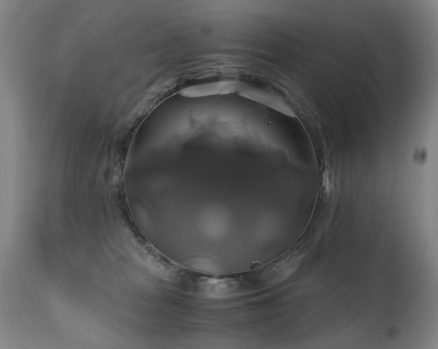 X0000110990277200906191434