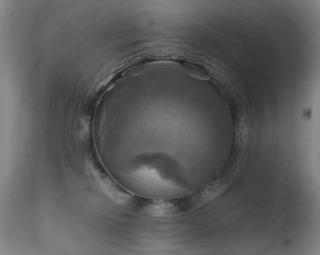 X0000110990278200906191434