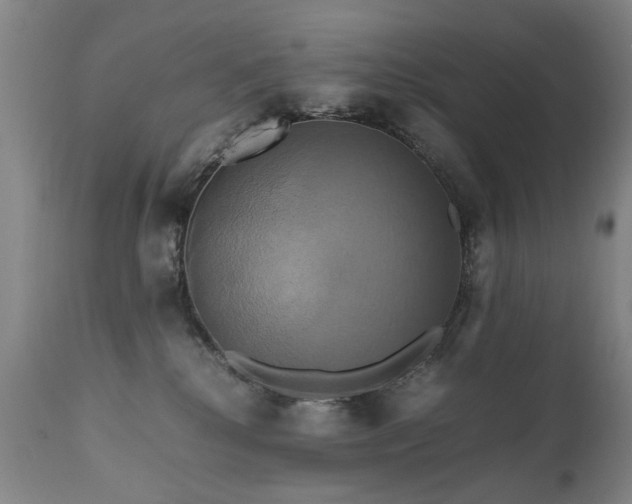 X0000110990280200906191434