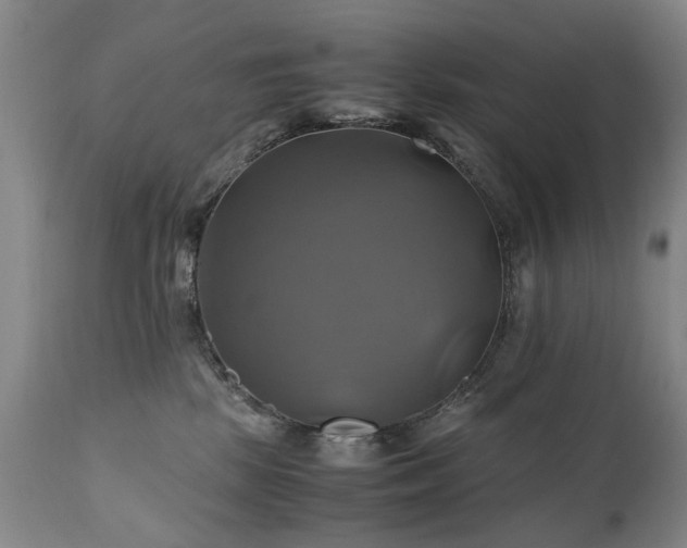 X0000110990281200906191434