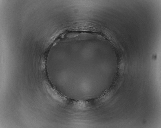 X0000110990282200906191434