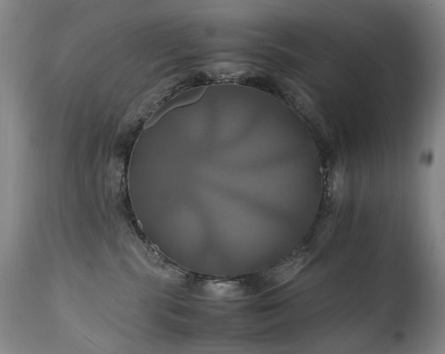 X0000110990283200906191434