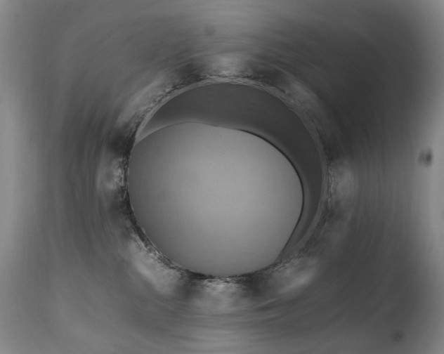 X0000110990284200906191434