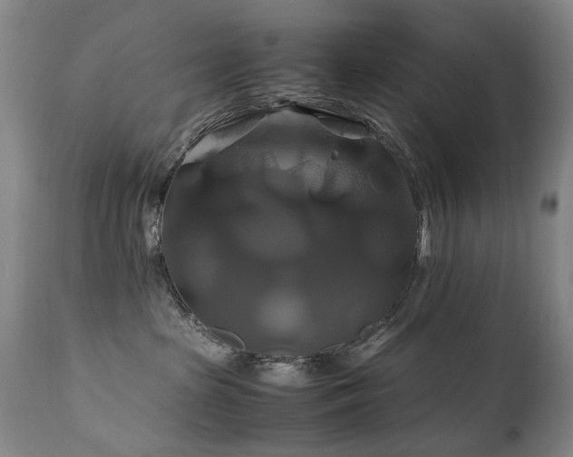 X0000110990285200906191434