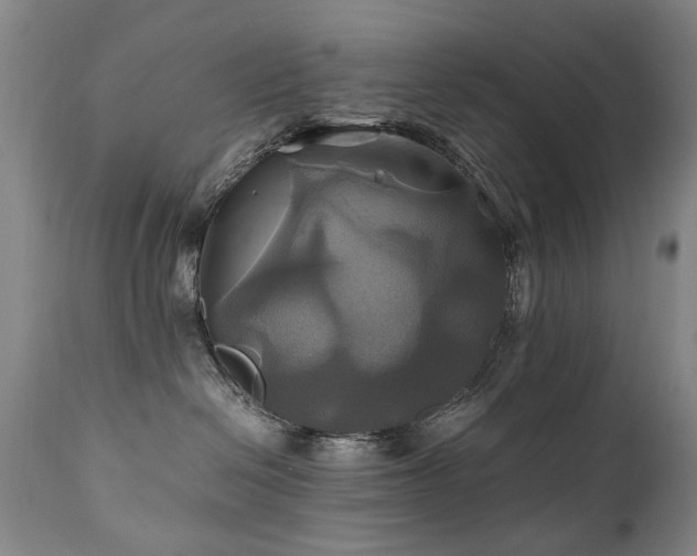 X0000110990286200906191434