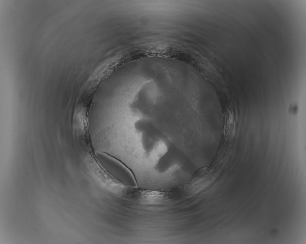 X0000110990287200906191434