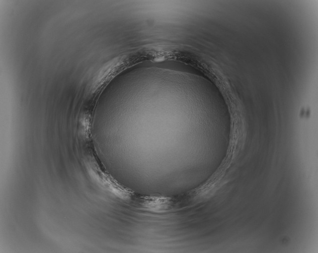 X0000110990288200906191434