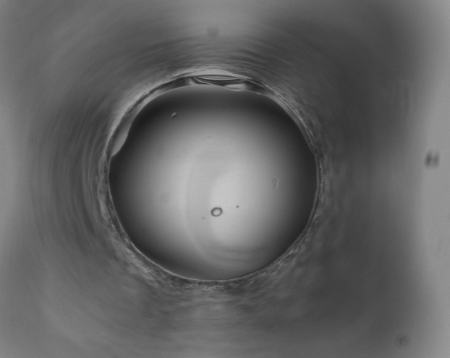 X0000110990289200906191433
