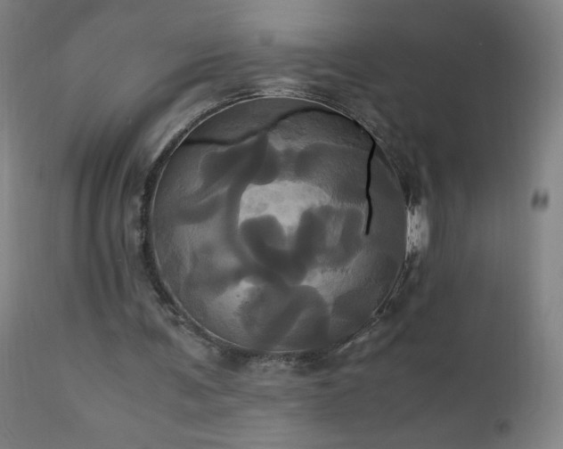 X0000110990291200906191433