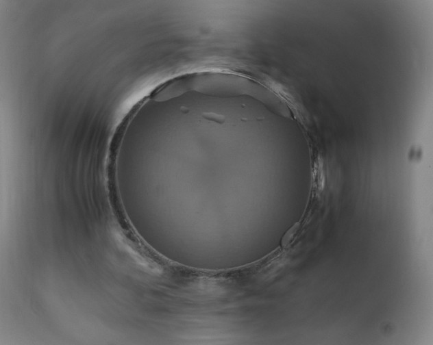 X0000110990292200906191433