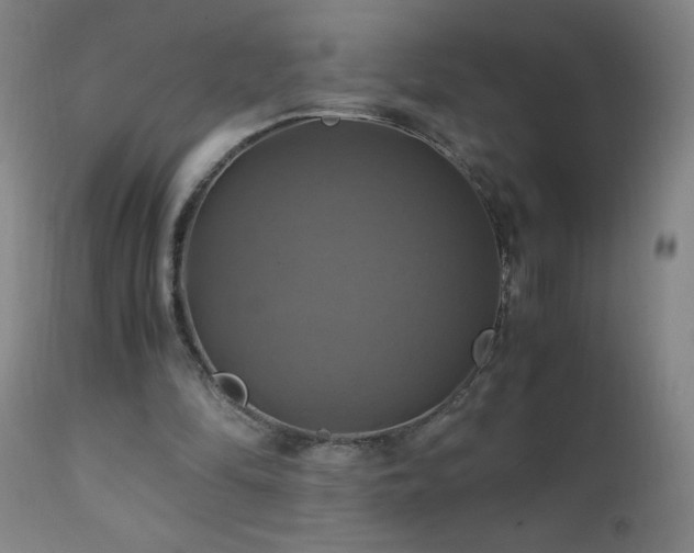 X0000110990294200906191433