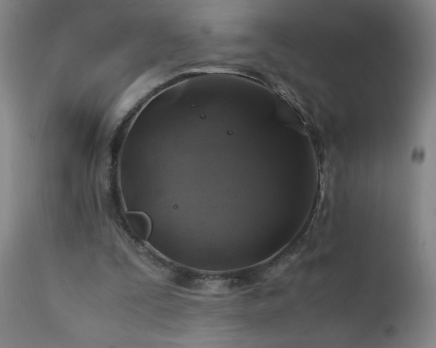 X0000110990295200906191433