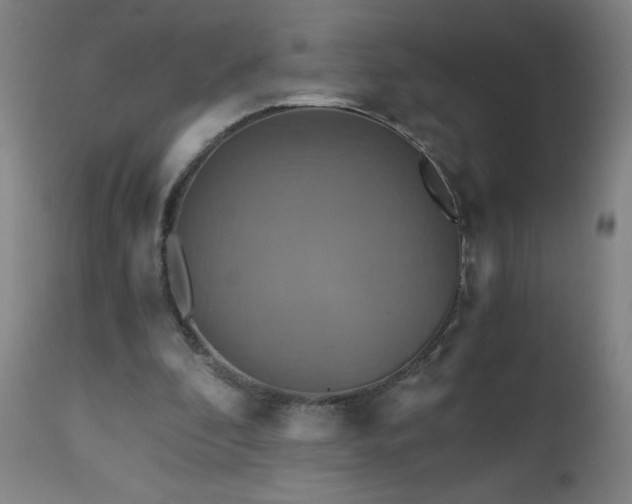 X0000110990296200906191433