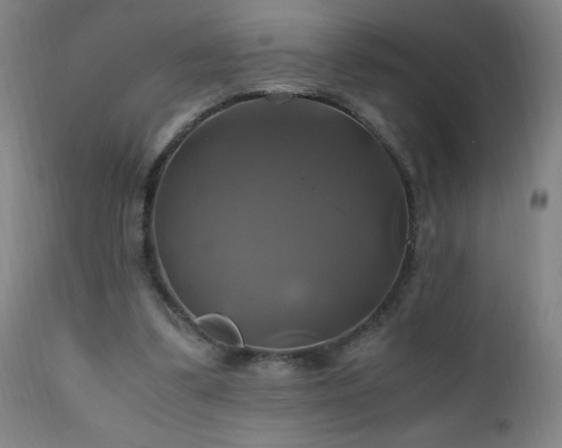 X0000110990299200906191433