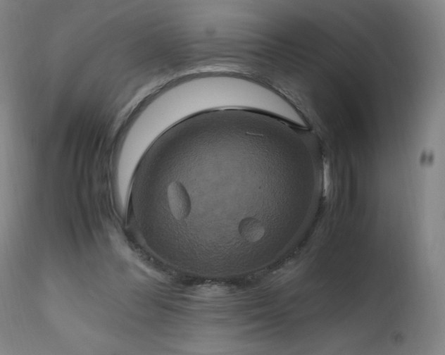 X0000110990300200906191433