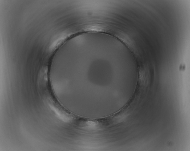 X0000110990302200906191433