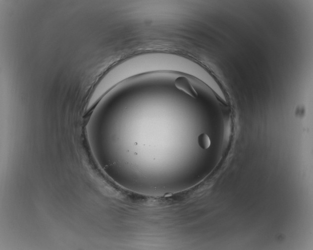 X0000110990305200906191433