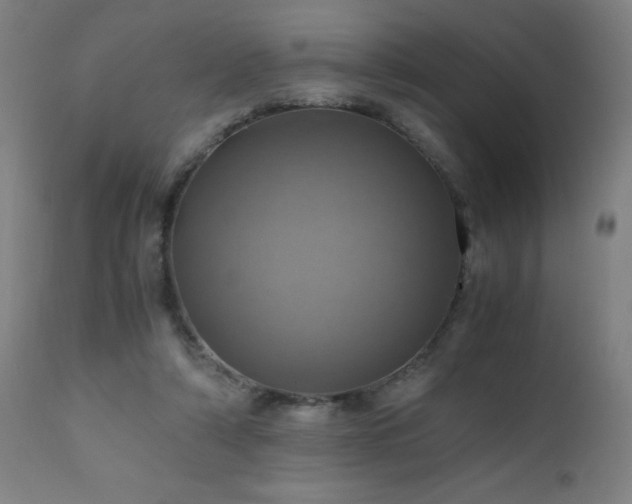 X0000110990306200906191433